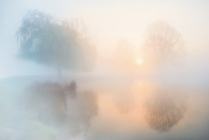 surreal landscape photography: sunlight shines between trees and through the fog 