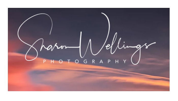 creative photography logo ideas