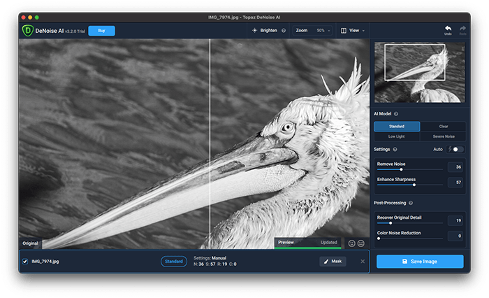 a screenshot of topaz denoise ai photo editor featuring pelican example