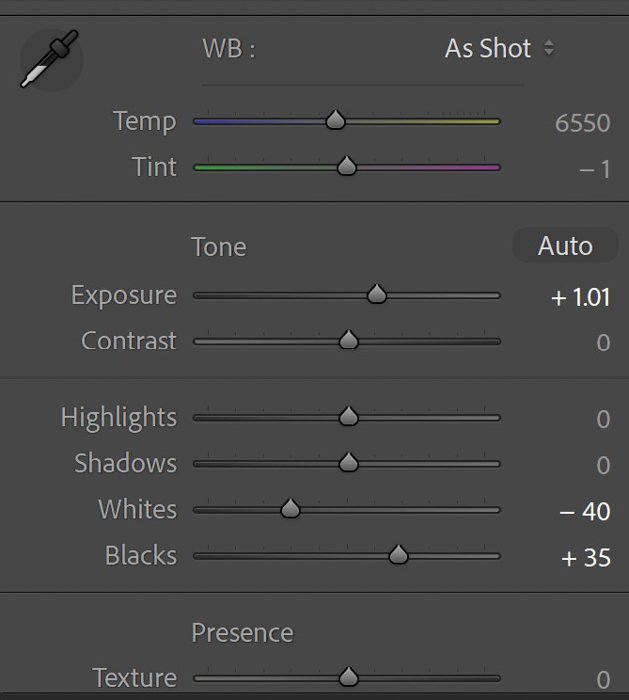 screenshot of Lightroom exposure parameters