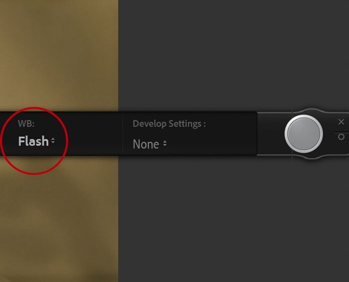 closeup of Lightroom tethering white balance