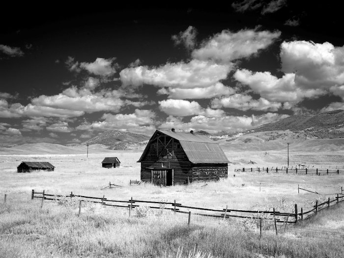 black and white photo of an old wood barn in a field