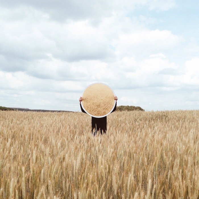 diy light reflector: A person holding a reflector in a wheat field