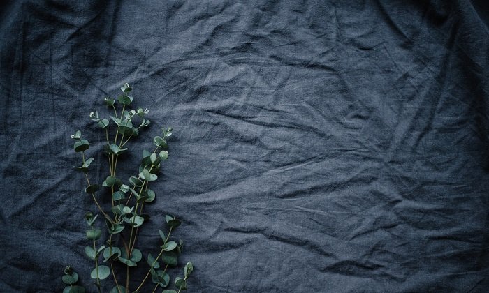 flat lay background idea: green flowers against a wrinkled dark gray fabric flat lay backdrop