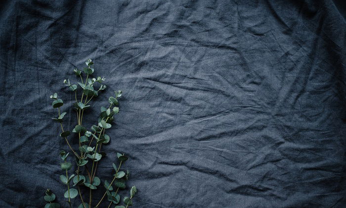 flat lay background idea: green flowers against a wrinkled dark gray fabric flat lay backdrop