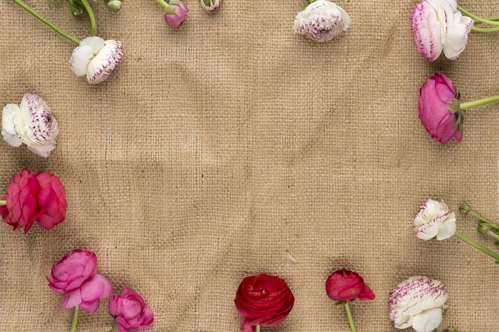 flat lay background idea: flowers around the perimeter of a shot with a canvas flat lay backdrop