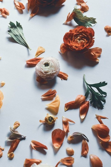 floral flat lay: strong shadows created by careful lighting