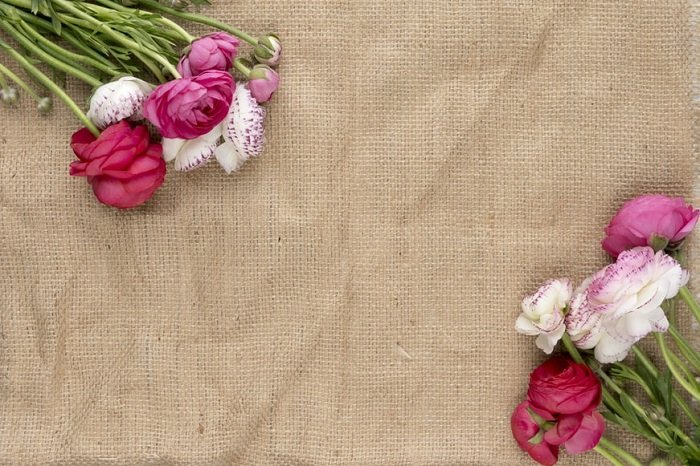 floral flat lay: flowers placed on canvas to give a rustic feel