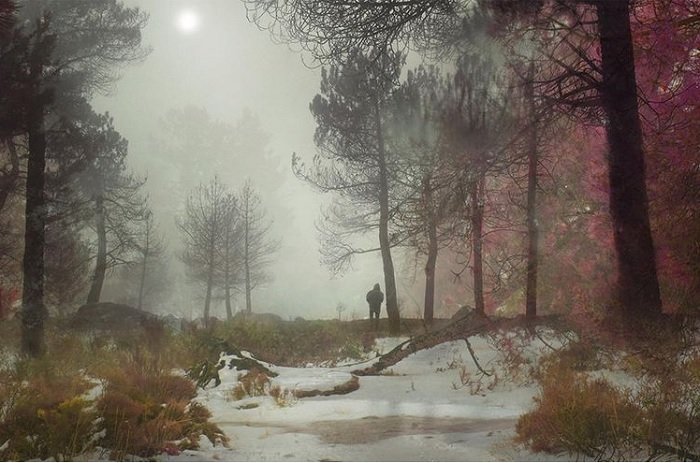 horror photography of a silhouette of a creepy figure in an eerie landscape