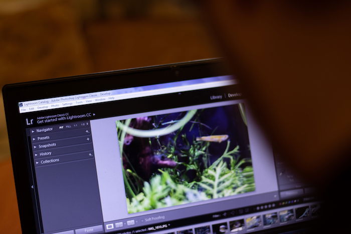 a photographer edits an image on a laptop