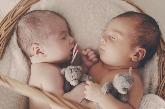 newborn twins photoshoot: newborn twins posed facing each other in a soft lined wicker basket