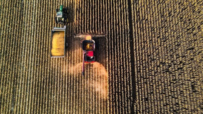 rhythm in photography: farming machinery cuts down a row of crops to create a broken rhythm effect