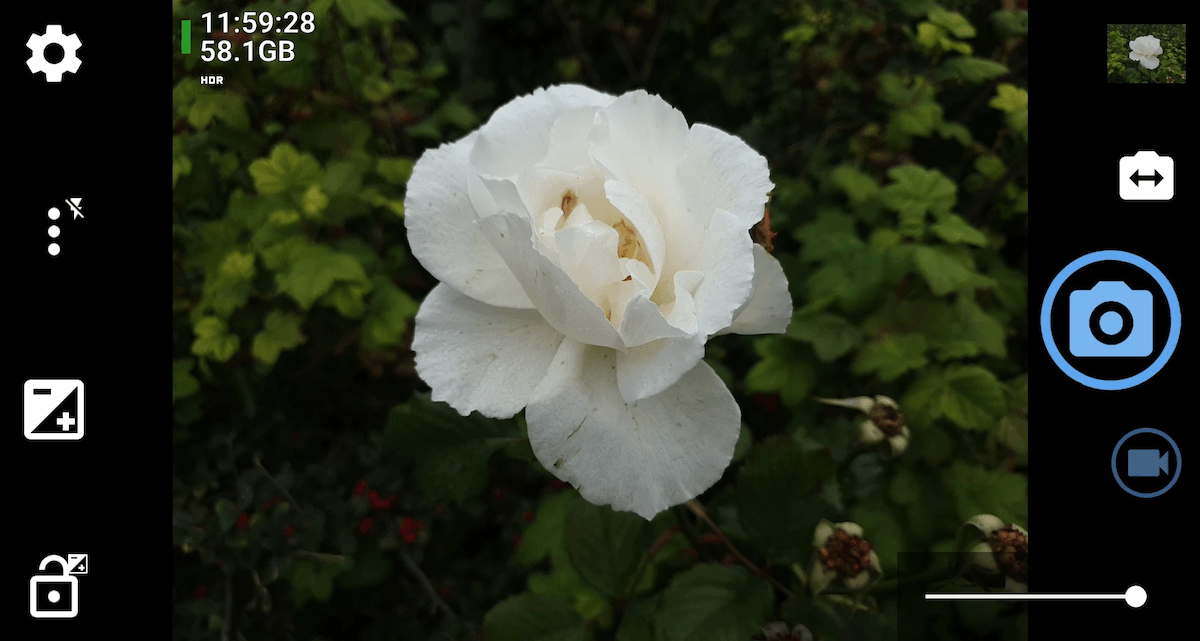 The Open Camera app being used to take a picture of a white flower to show why it's one of the best camera apps for Android