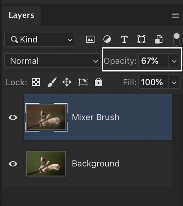 Photoshop screenshot of layers panel showing a lowered opacity to reduce a brush's effect