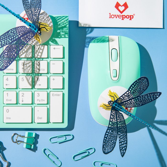 Flat lay product photography image of dragonflies on a mouse and keyboard using the rule of thirds