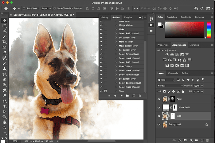 Screenshot of a German Shepard photo and interface for how to install Photoshop actions