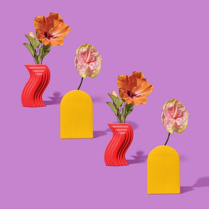 four orange flowers contrasted against a solid purple background