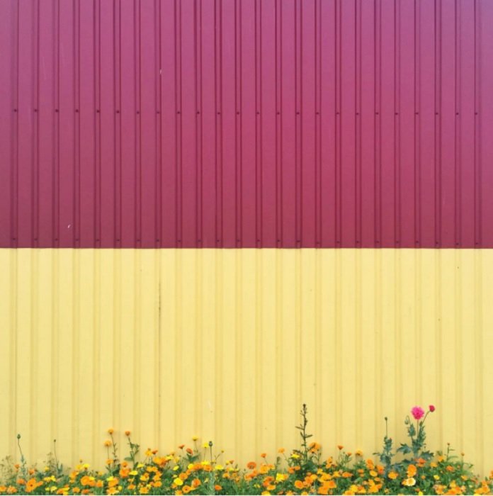 color block photoshoot ideas: a color block photograph with complimenting yellow and purple walls