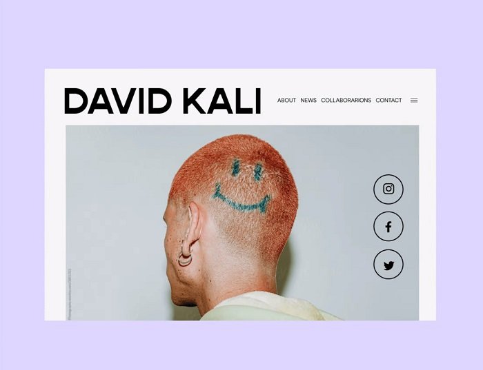an example website using David Kali as the artist