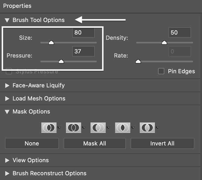 Screenshot of brush settings panel for Liquify Photoshop edits