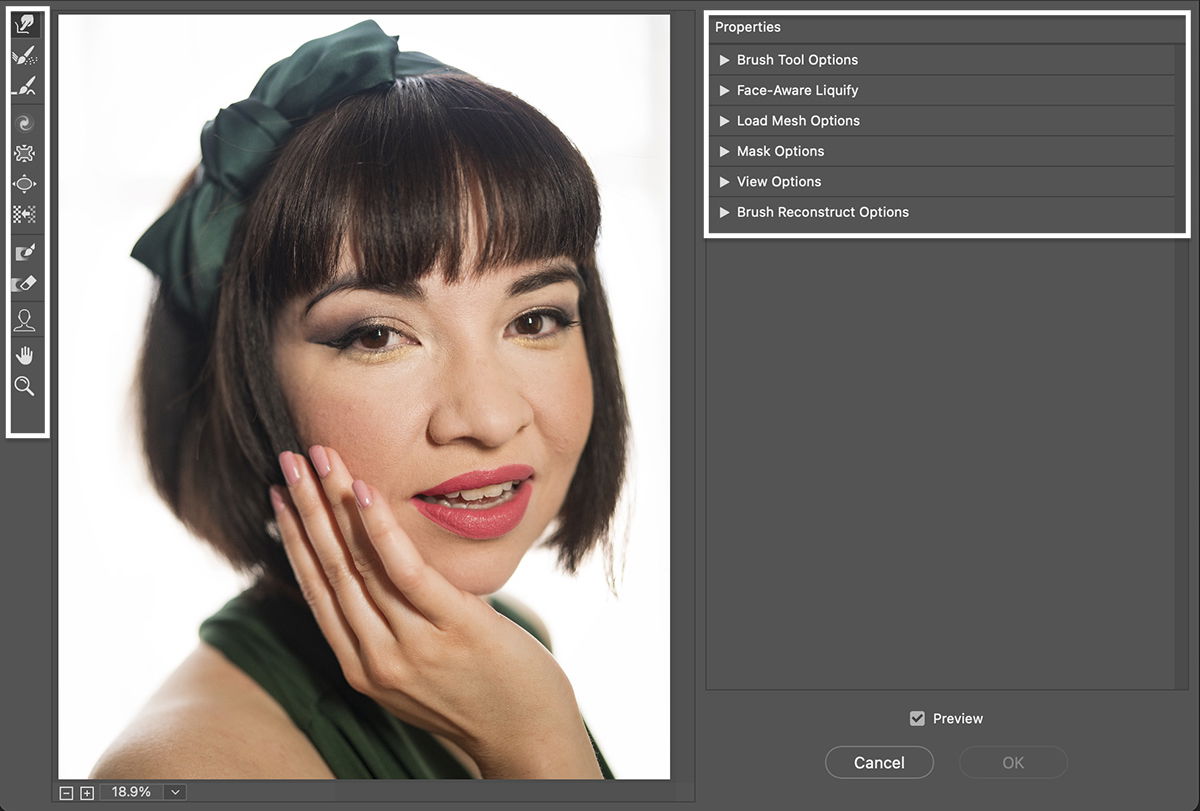 photoshop face aware liquify plugin download