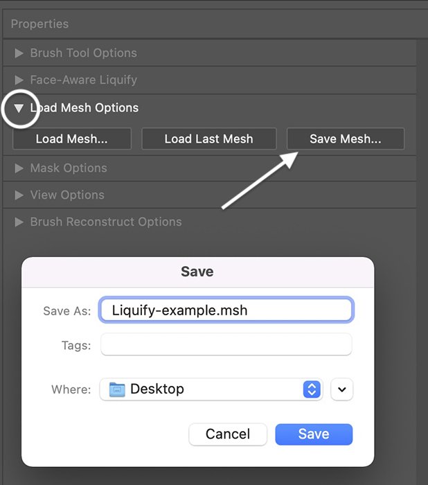 Screenshot of load mesh option panel for saving Liquify Photoshop settings