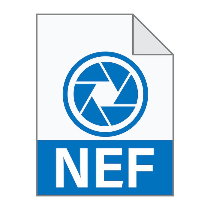 Picture of NEF file icon