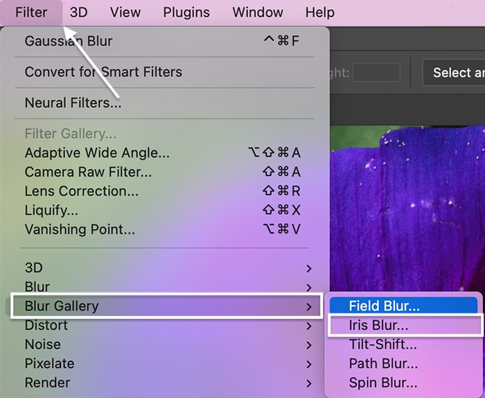 Screenshot of opening the gallery for Blur tools in Photoshop