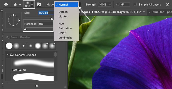 Screenshot of options bar for Blur tool in Photoshop