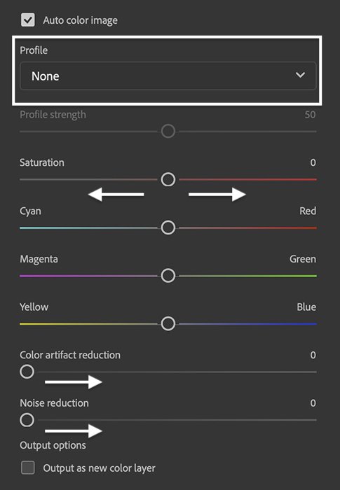 Screenshot of panel settings for Colorize Photoshop Neural Filter