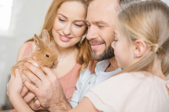 photo of a mum dad and daughter holding and smiling at their pet rabbit
