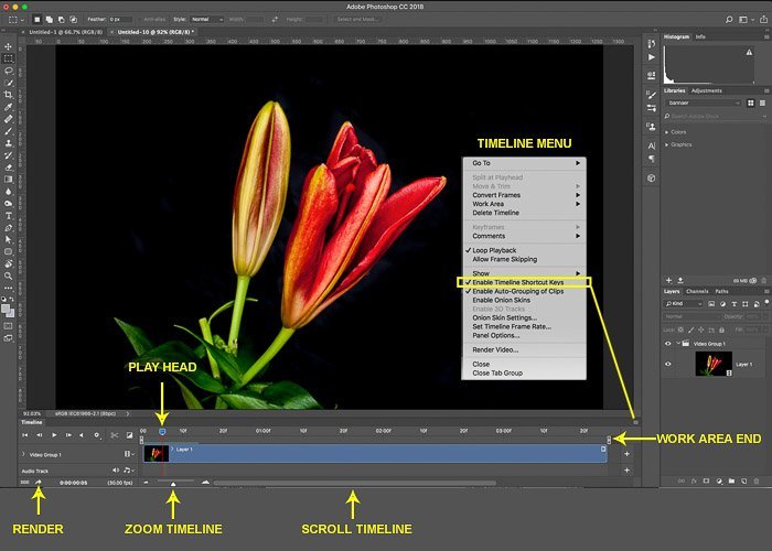 timelapse in photoshop: screenshot of the image sequence bar on photoshop