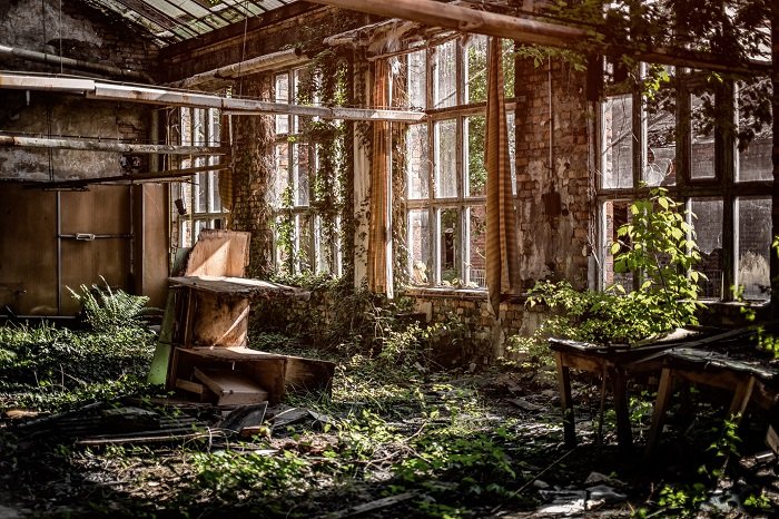an abandoned building that has been taken over by nature