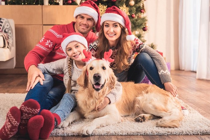 a family portrait with their golden retriever in front of the Christmas tree