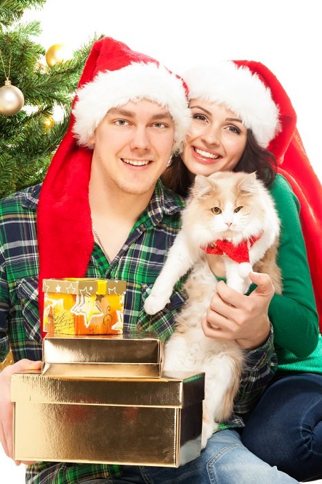 Christmas couple photoshoot tips: a couple holds up their cat and presents in golden boxes