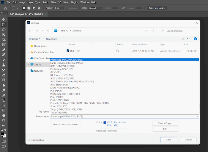 Screenshot of Windows computer's window to convert an NEF file