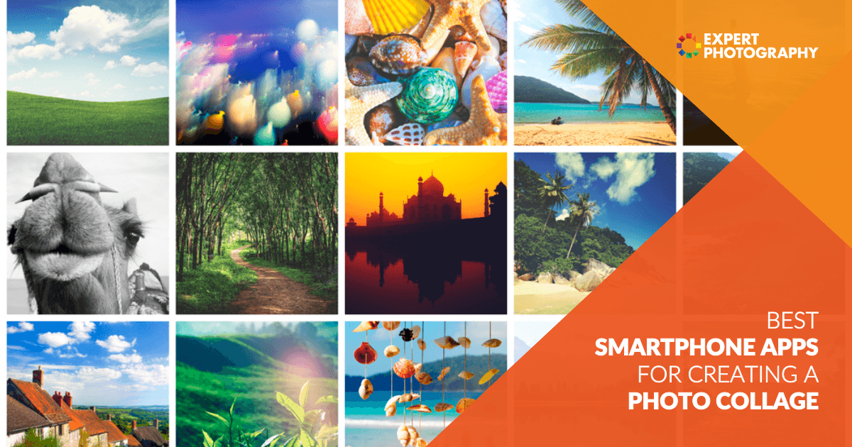 Best Collage Makers Online/Apps You Can't Miss