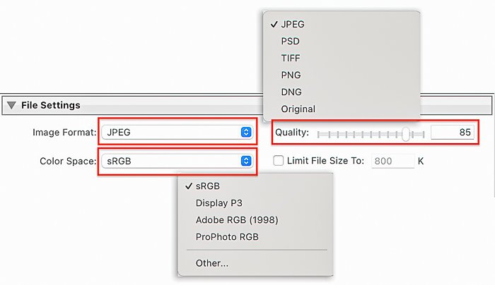 Screenshot of File Settings dialog box for Lightroom export settings