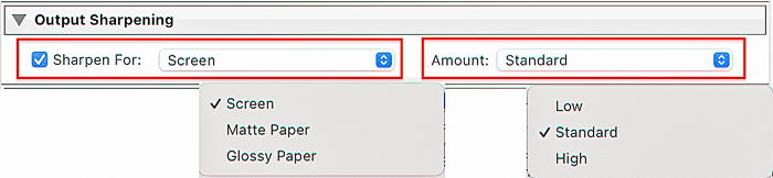 Screenshot of Output Sharpening dialog box for Lightroom export settings