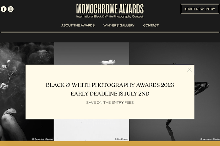A screenshot from the Monochorme Awards photo contest website