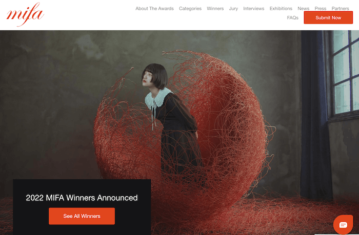A screenshot from the Moscow International Foto Awards website