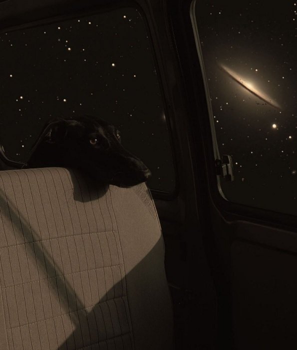 A composite image of a dog looking out a car window and into outer space