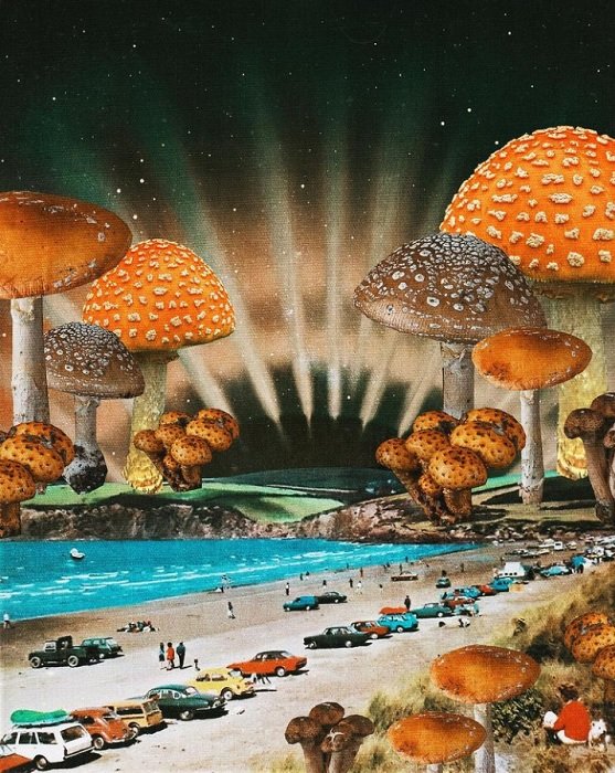 psychedelic looking mushrooms create the sky over a sunny beach as a digital collage idea