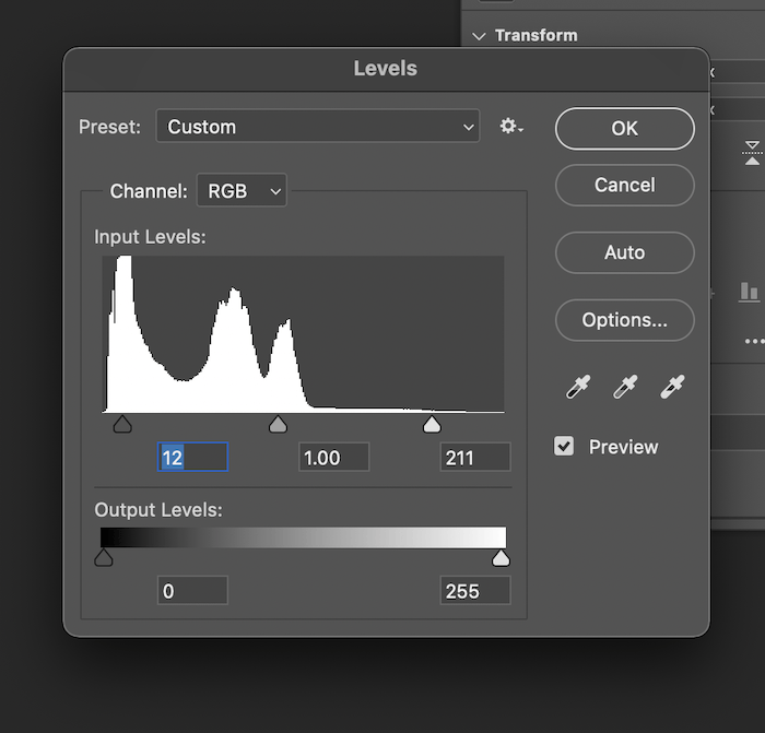 screenshot of contrast values in the levels pop up screen in photoshop