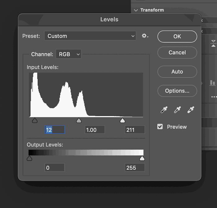 How to Create a Double Exposure in Photoshop  Easily  - 92