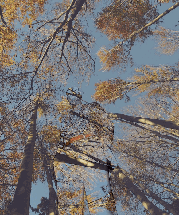 Double exposure made on Photoshop of a figure standing amongst trees.