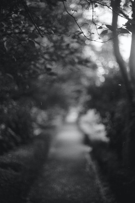 Grainy and dusty image of a path in black and white 
