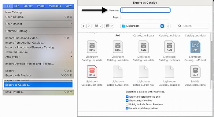 Lightroom classic 'Export as Catalog' dialogue box and panel for exporting photos