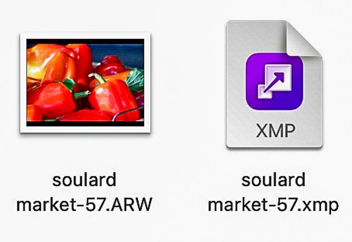 RAW photo icon with XMP sidecar file icon