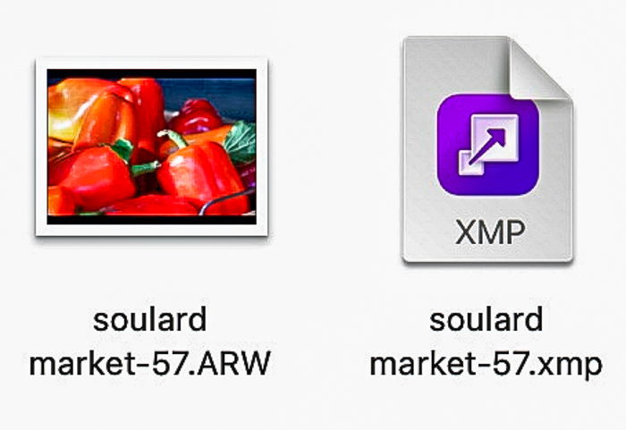 RAW photo icon with XMP sidecar file icon